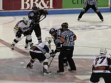 Gregg Johnson faces off against Barret Ehgoetz; Cincinnati Cyclones at South Carolina Stingrays, March 7, 2010.