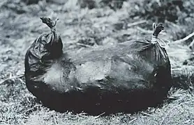 Stomach of a sea lion used by Aleut natives to store dried red salmon