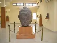 Colossal Buddha head, in the Ratnagiri Museum