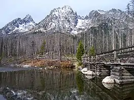 Footbridge across String Lake