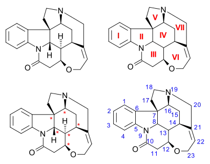 Strychnine numbering conventions