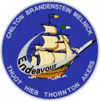 STS-49 logo