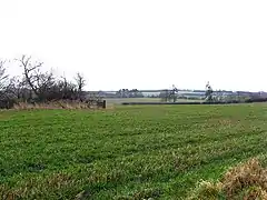 Blackadder Mount Last year's barley