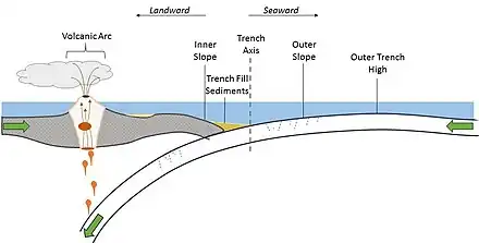 Trench fill sedimentary basin in the context of a convergent plate boundary