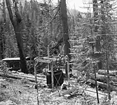 A transformer powering logging equipment.