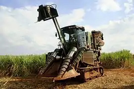 Sugarcane harvester