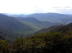 Hills covered with forest, misty