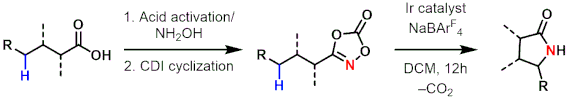 Sukbok Chang's gamma lactam synthesis