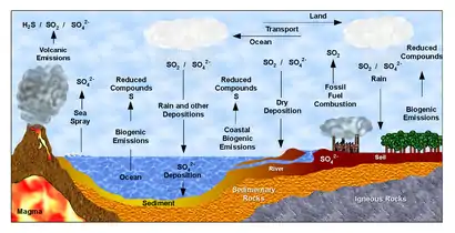 Diagram of the sulfur cycle