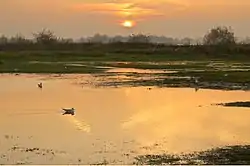 Sunset on the Waal near Ochten