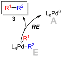 Reductive elimination step in the catalytic cycle of Suzuki reaction.