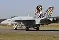 F/A-18C J-5011 Tigers FlSt11