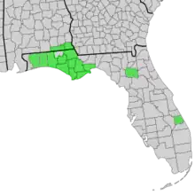 Map of Alabama and Florida with counties of distribution of Symphyotrichum chapmanii shaded in green: Primarily the Apalachicola River drainage basin. Alabama counties — Geneva and Houston; Florida counties — Alachua, Bay, Calhoun, Franklin, Gulf, Jackson, Liberty, Okaloosa, Santa Rosa, St. Lucie, Wakulla, Walton, and Washington.