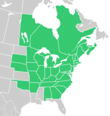 Symphyotrichum cordifolium distribution map: Canada — Manitoba, New Brunswick, Nova Scotia, Ontario, Prince Edward Island, and Québec; US — Alabama, Arkansas, Connecticut, District of Columbia, Georgia, Illinois, Indiana, Iowa, Kentucky, Maine, Maryland, Massachusetts, Michigan, Minnesota, Missouri, Nebraska, New Hampshire, New Jersey, New York, North Carolina, Ohio, Oklahoma, Pennsylvania, Rhode Island, South Carolina, South Dakota, Tennessee, Vermont, Virginia, West Virginia, and Wisconsin.