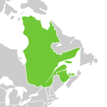 Symphyotrichum laurentianum distribution map: Canada — New Brunswick, Prince Edward Island, and Québec on the south shores of the Gulf of St. Lawrence.