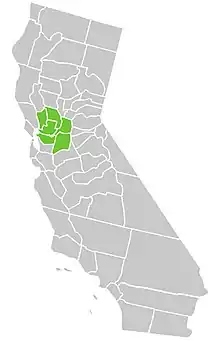 Symphyotrichum lentum native distribution: California counties of Contra Costa, Napa, Sacramento, San Joaquin, Solano, and Yolo.