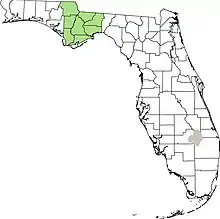 Map of Florida showing county borders with green shading on counties representing the distribution of Symphyotrichum plumosum: Central Florida Panhandle — counties of Calhoun, Franklin, Gadsden, Gulf, Jackson, Leon, Liberty, and Wakulla.