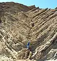 Syncline in the lower parking lot of Calico Ghost Town; the ductile folding is at the base and the brittle is above.