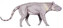 Synoplotherium vorax