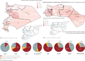 The damage on education facilities, assessments are based on actual physical conditions, as seen on the satellite images from January 2017.