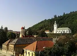 The Reformed Church and the Greek Catholic Church