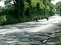 TT racers approaching Quarry Bends in 2003