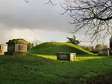 The location of the mound