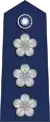 Republic of China (Taiwan)airforce rank insignia