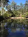 Lake, Tamborine Mountain Botanic Gardens