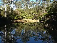 Tamborine Mountain Botanic Gardens