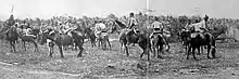 Tausūg horsemen in Sulu, taken on December 30, 1899.