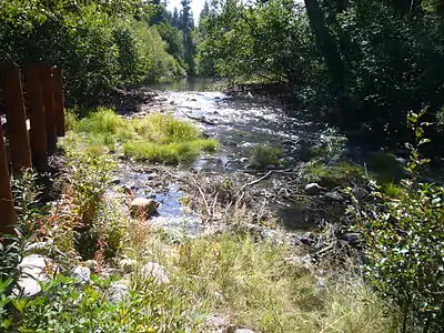 Beaver dam removed in anticipation of Kokanee salmon run by Forest Service on September 28, 2012.