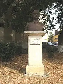 Teodor V. Ștefanelli Statue