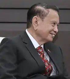 Vice-President Teofisto Guingona