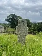 A small weathered cross in the middle of grass in the graveyard.