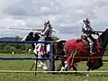 Jousting