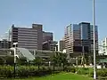 The hospital in 2010 (Left to right: Wallace tower, CNRC, Feigin tower)