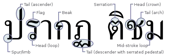 Thai typeface anatomy