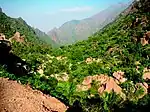 A valley with some vegetation