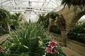 The Conservatory, Royal Tasmanian Botanical Gardens