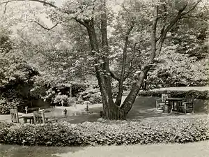 Garden in 1921.