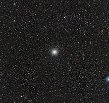 A small fuzzy white ball in the center of a speckled black backdrop