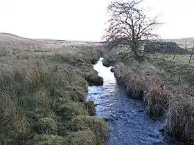 The infant River Wansbeck as a stream