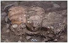 The three plastered skulls in situ at Yiftahel