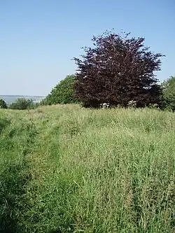 Stantonbury camp and adjacent sections of Wansdyke