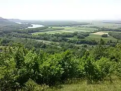 The Pannonian steppe in Devínska Kobyla, Bratislava, Slovakia