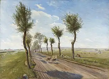 Road at Fårevejle