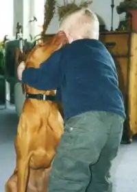 young child hugging a dog