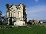 Remains of Thornton Abbey Church and Adjoining Monastic Ranges