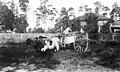 Three boys hauling sugarcane to the mill